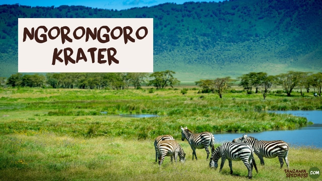 Entdecken Sie den Ngorongoro Krater - Tanzania Specialist