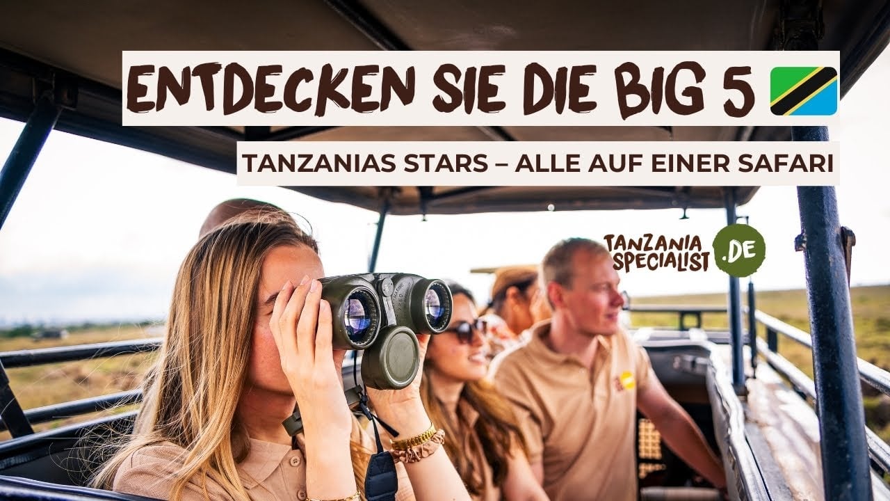 Big 5 Safari in Tansania mit Tanzania Specialist