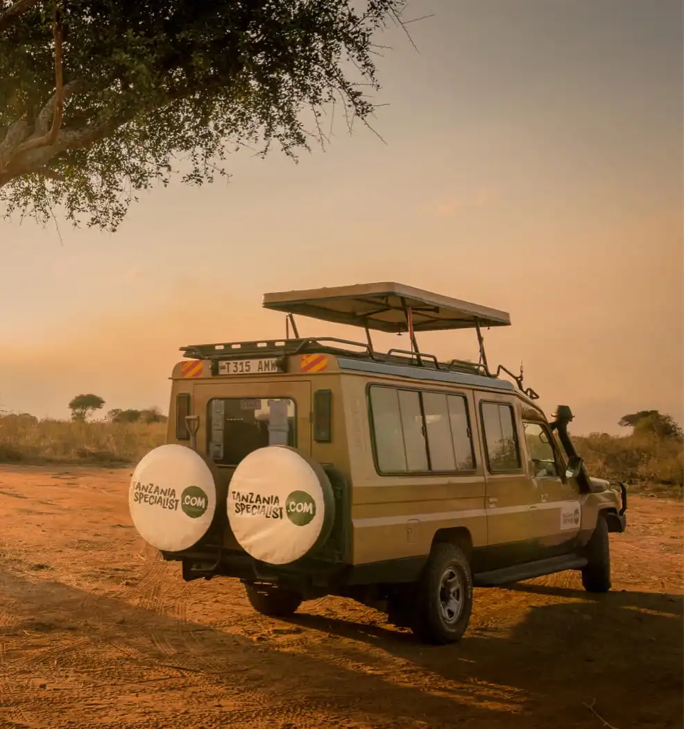 Wandersafari im Julius Nyerere Nationalpark