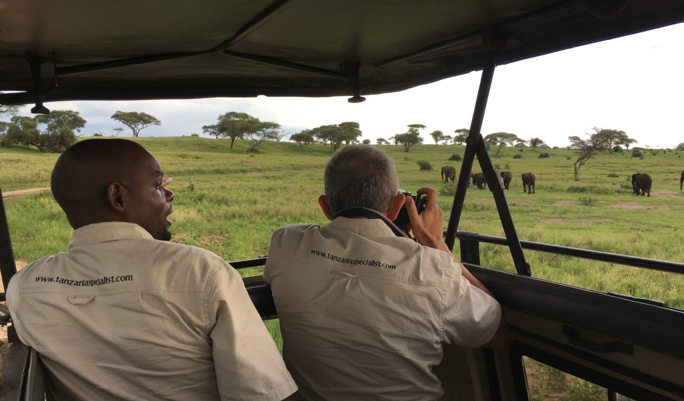 Tanzania Specialist Guides nehmen Fotos von Elefanten im Tarangire Nationalpark