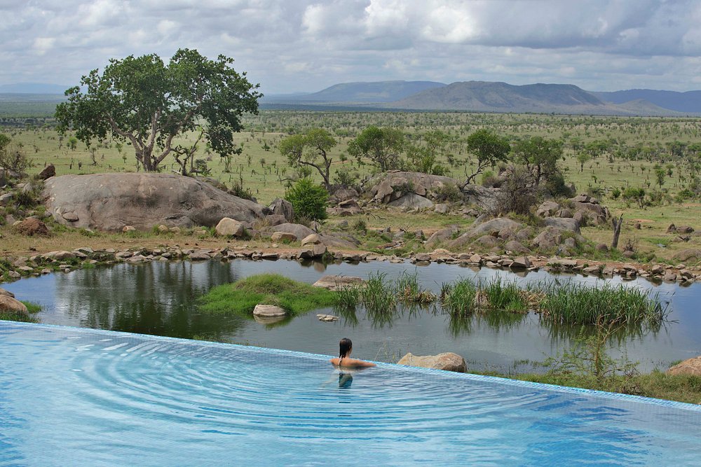 Serengeti Four Seasons Safari Lodge mit Frau im Pool mit Blick auf ein Wasserloch