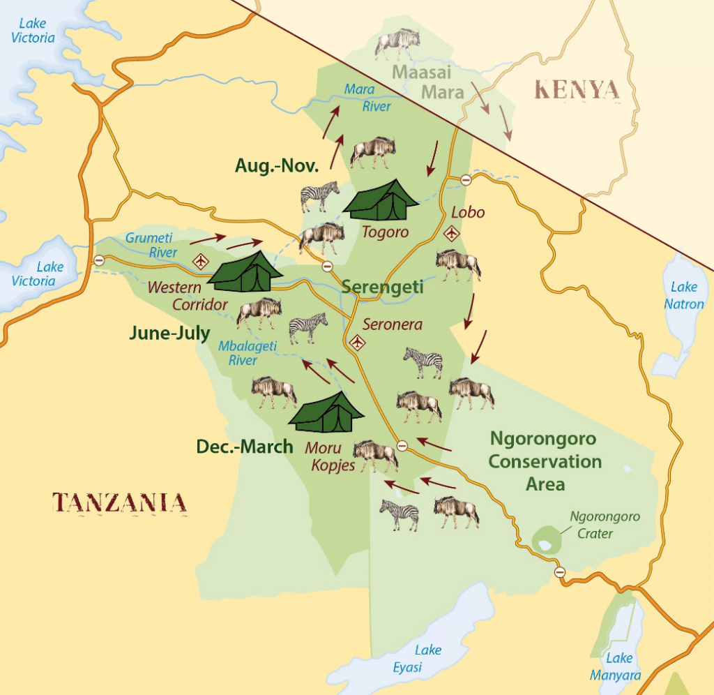 Serengeti Safari: großen Tierwanderung