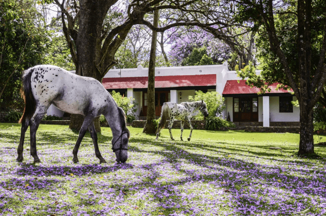 Garden Ngare Sero