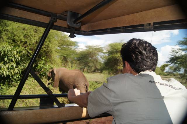 Tanzania Specialist auf Safari im Ruaha Nationalpark