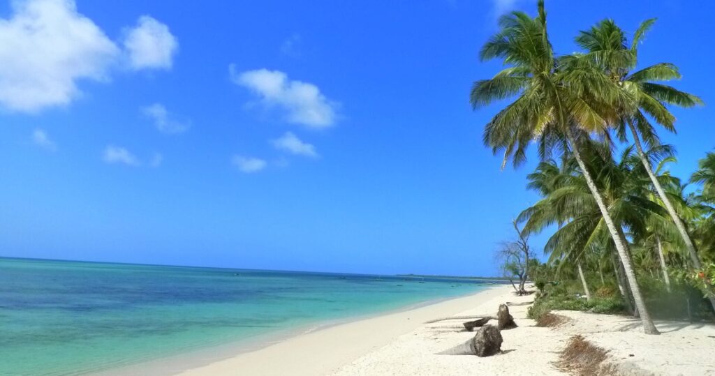 Weißer Strand mit blauem Wasser und Palmen