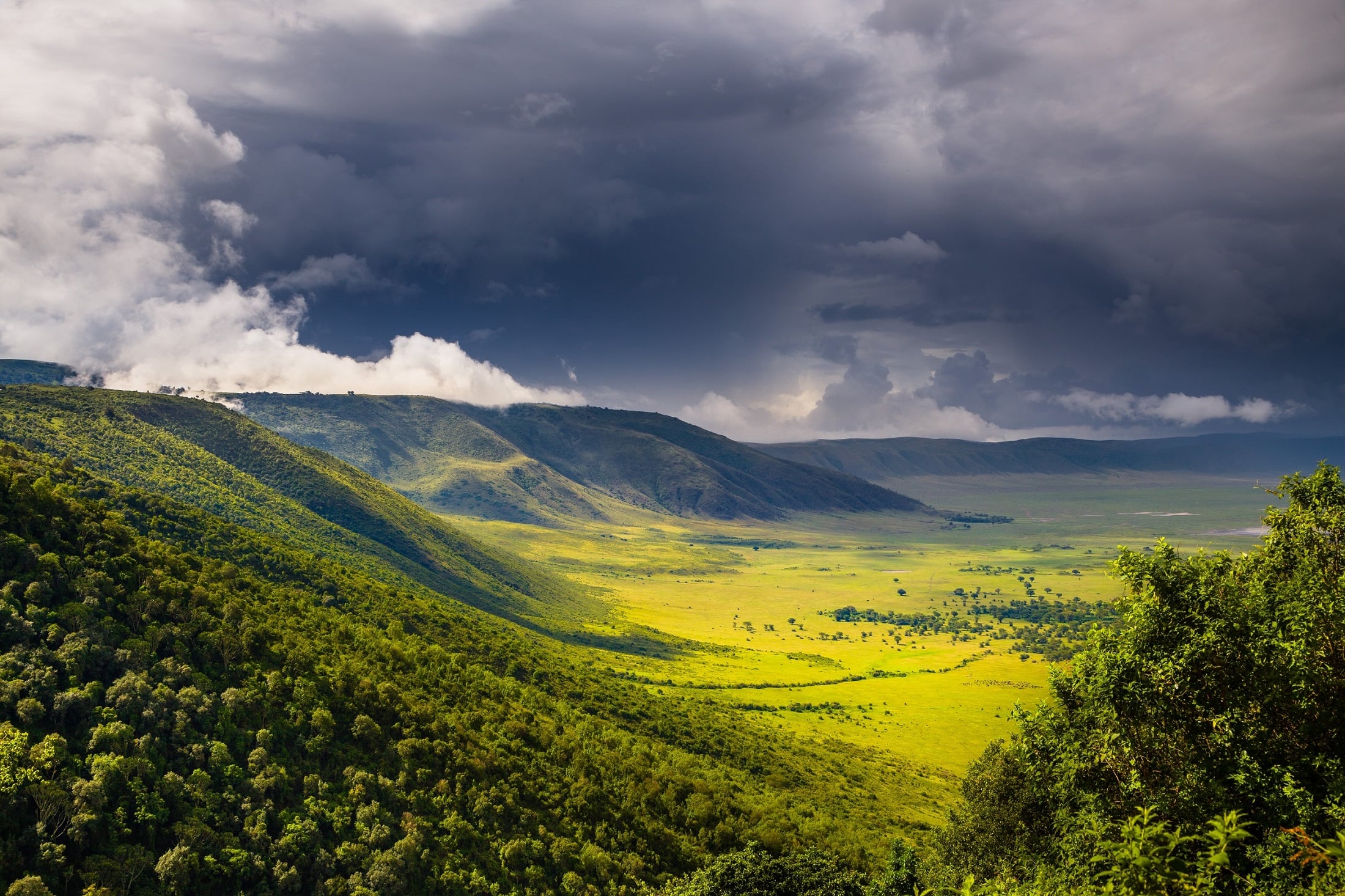 Ngorongoro-Krater – Panoramablick über das Wildparadies