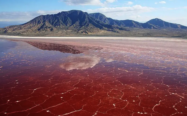 Berg im Hintergrund, roter Lake Natron