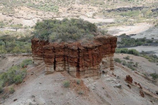 Ndutu Olduvai großer roter Felsen auf Erhebung mit Bäumen