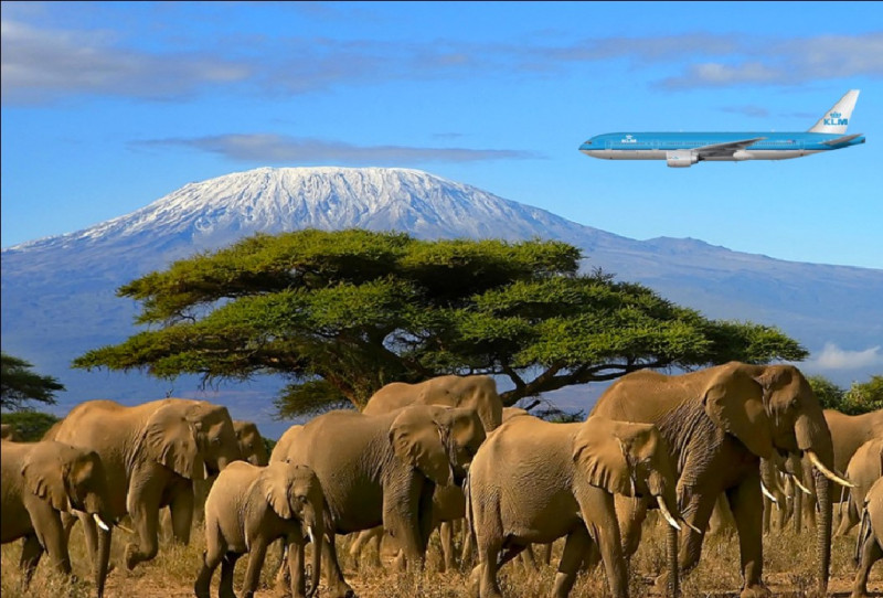 Ankunft am Kilimanjaro Flughafen (JRO)
