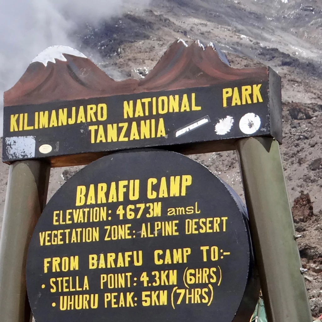 Machame Route, Tag 5/7: Karanga Camp (4.035 m) – Barafu Camp (4.640 m)