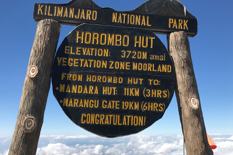 Marangu Route, Tag 2/6: Mandara Huts (2.700 m) – Horombo Huts (3.720 m)
