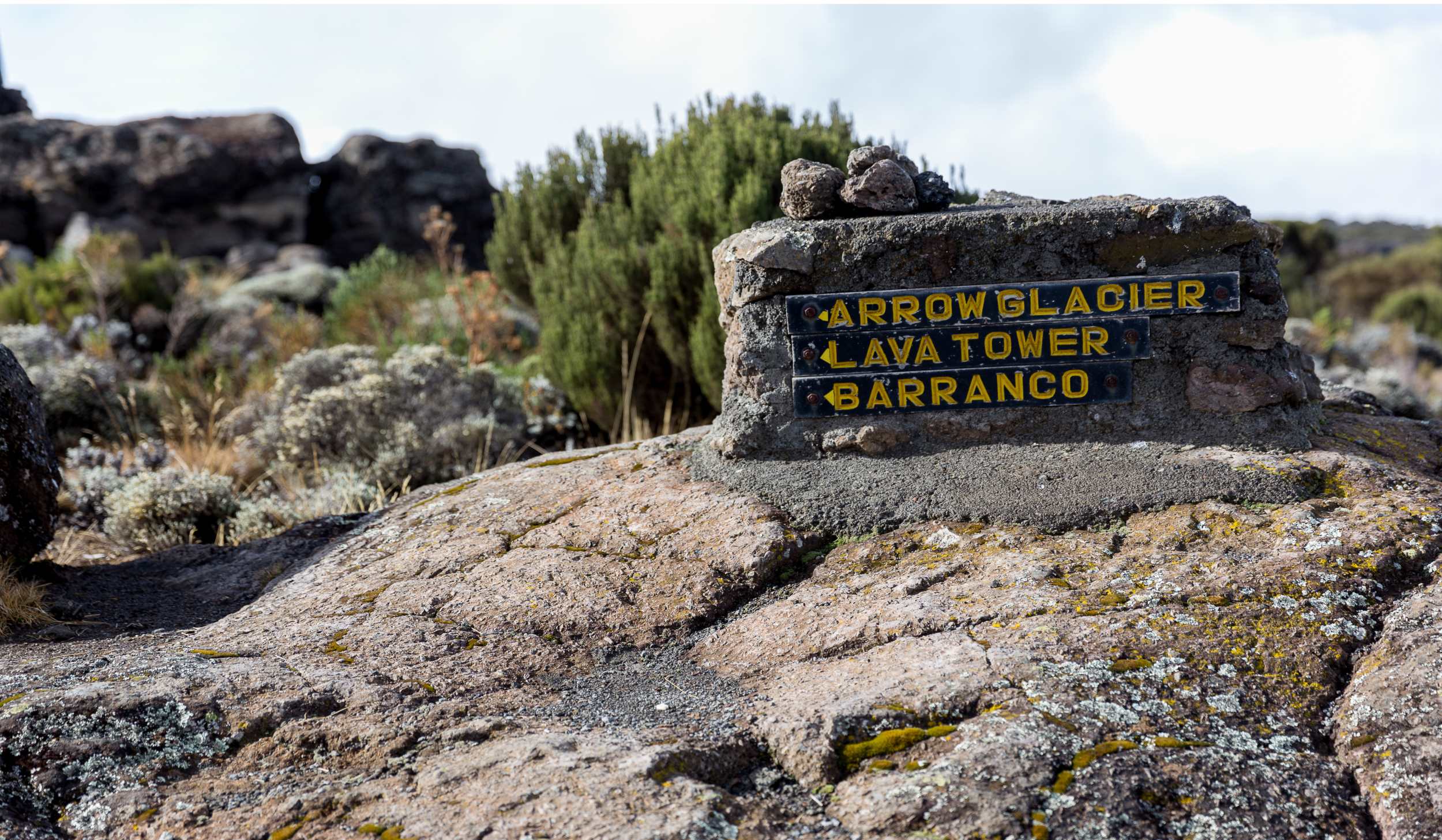 Lemosho Route, Tag 4/8: Shira 2 Camp (3.900 m) – Lavaturm (4.630 m) – Barranco Camp (3.960 m)