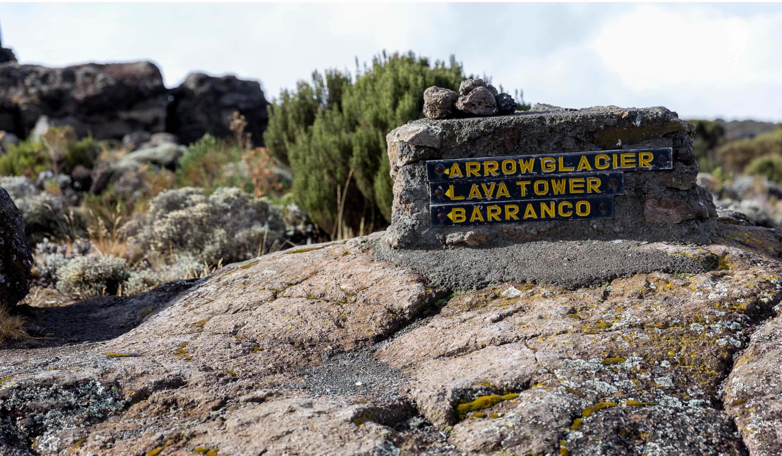 Lemosho Route, Tag 4/8: Shira 2 Camp (3.900 m) – Lava Tower (4.630 m) – Barranco Camp (3.960 m)