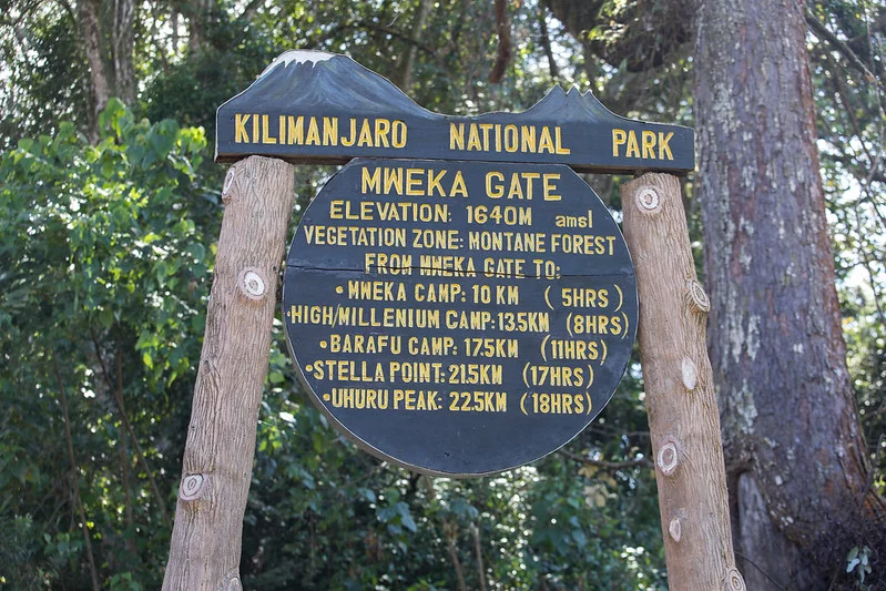 Lemosho-Shira Route, Tag 6/6: Millennium Camp (3.820 m) – Mweka Gate (1.650 m) – Hotel