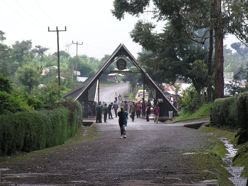 Marangu Route, Tag 6/6: Horombo Huts (3.720 m) – Marangu Gate (1.830 m) – Hotel