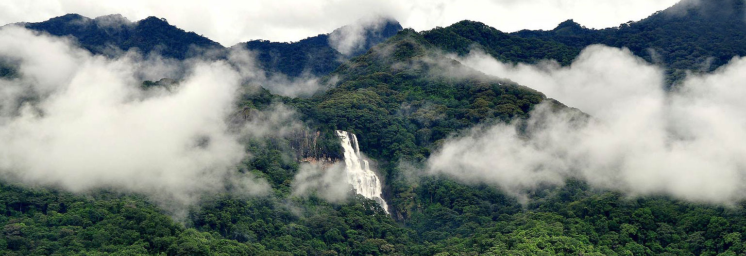 Udzungwa Mountains Nationalpark