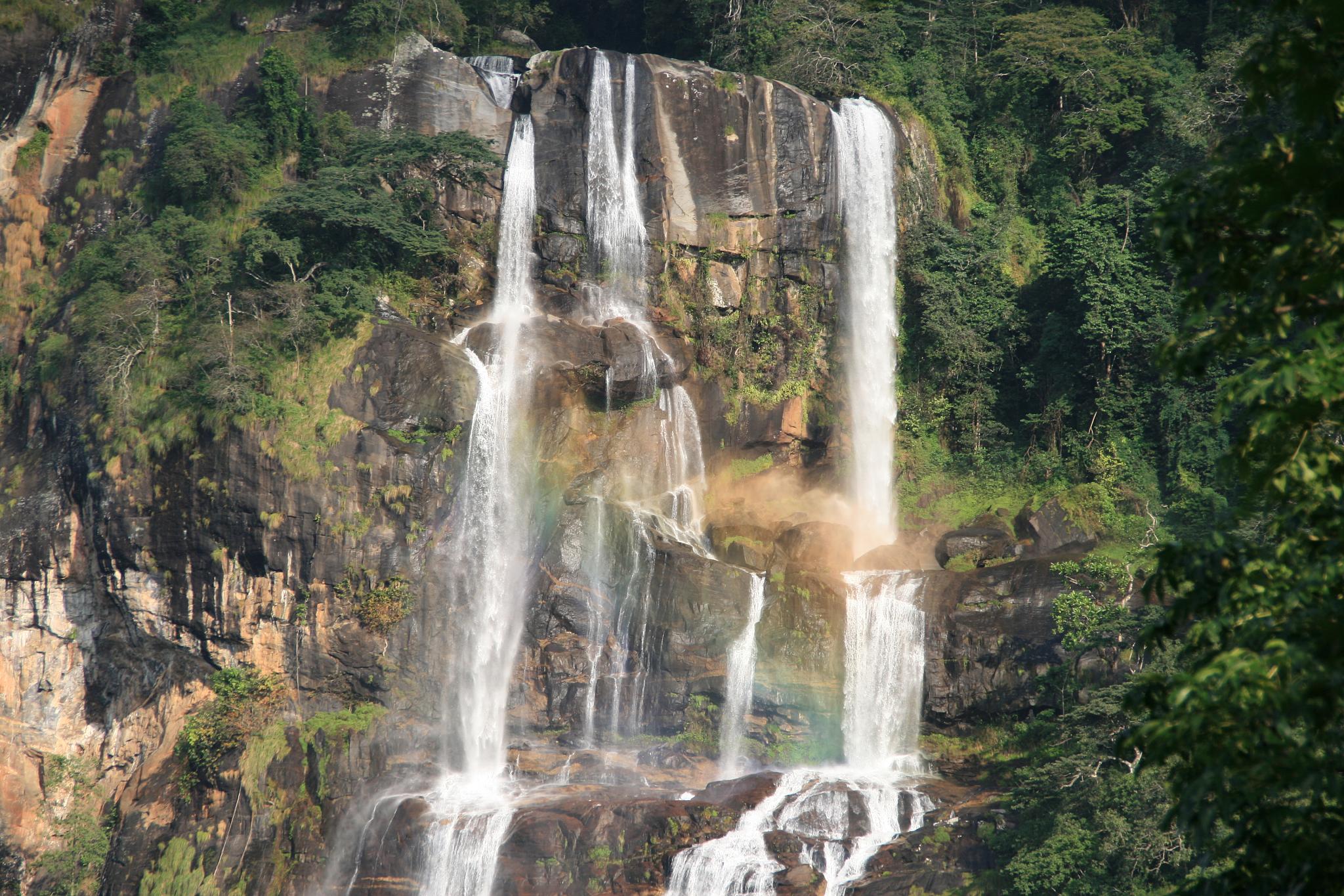 Wanderung in Udzungwa + Sanje Wasserfall