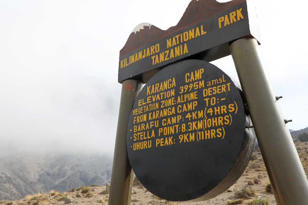 Lemosho-Shira Route, Tag 3/6: Barranco Camp (3.960 m) – Karanga Camp (4.035 m)