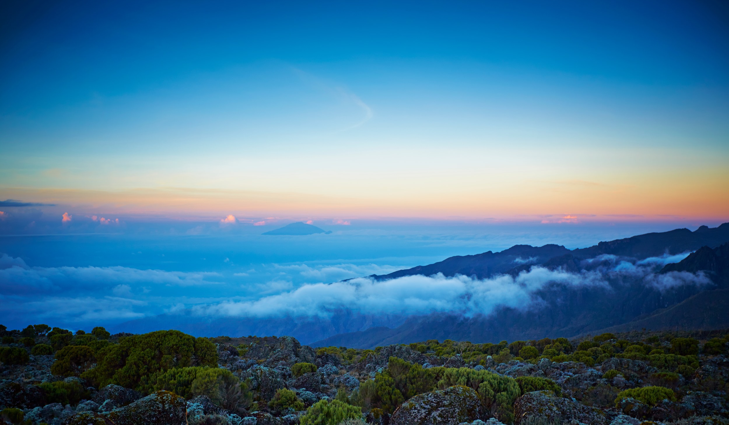 Tageswanderung Zum Shira-Plateau | Tanzania Specialist