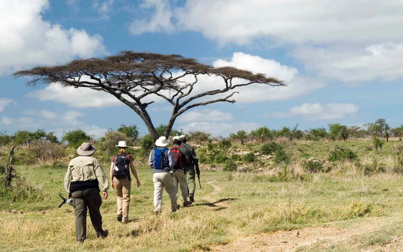 Deutschsprachige Safari in Tansania