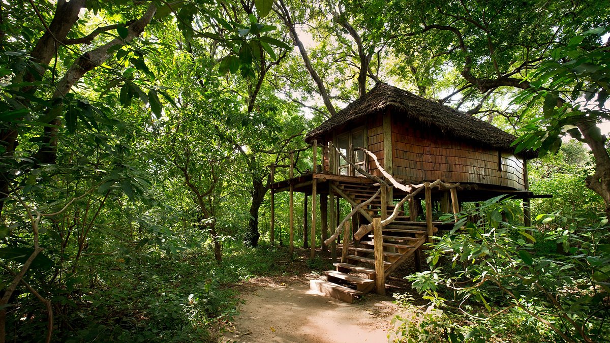 andBeyond-Lake-Manyara-Tree-Lodge-exterior