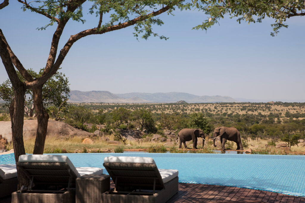 Luxuriöse Safari-Lodge in Tansania