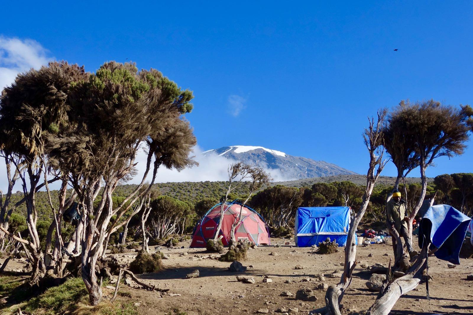 Northern Circuit, Tag 7/8: School Huts (4.750 m) – Uhuru Peak (5.895 m) – Millenium Camp (3.720 m)