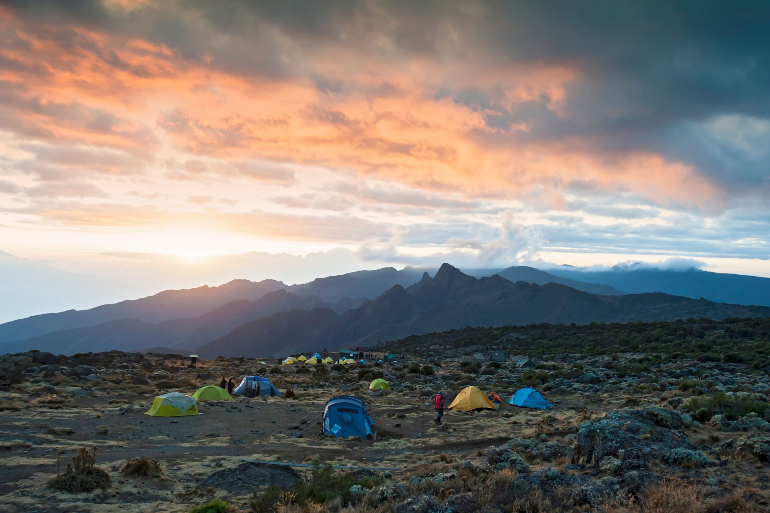 Northern Circuit, Tag 3/8: Shira 1 Camp (3.500 m) – Lava Tower (4.600 m)