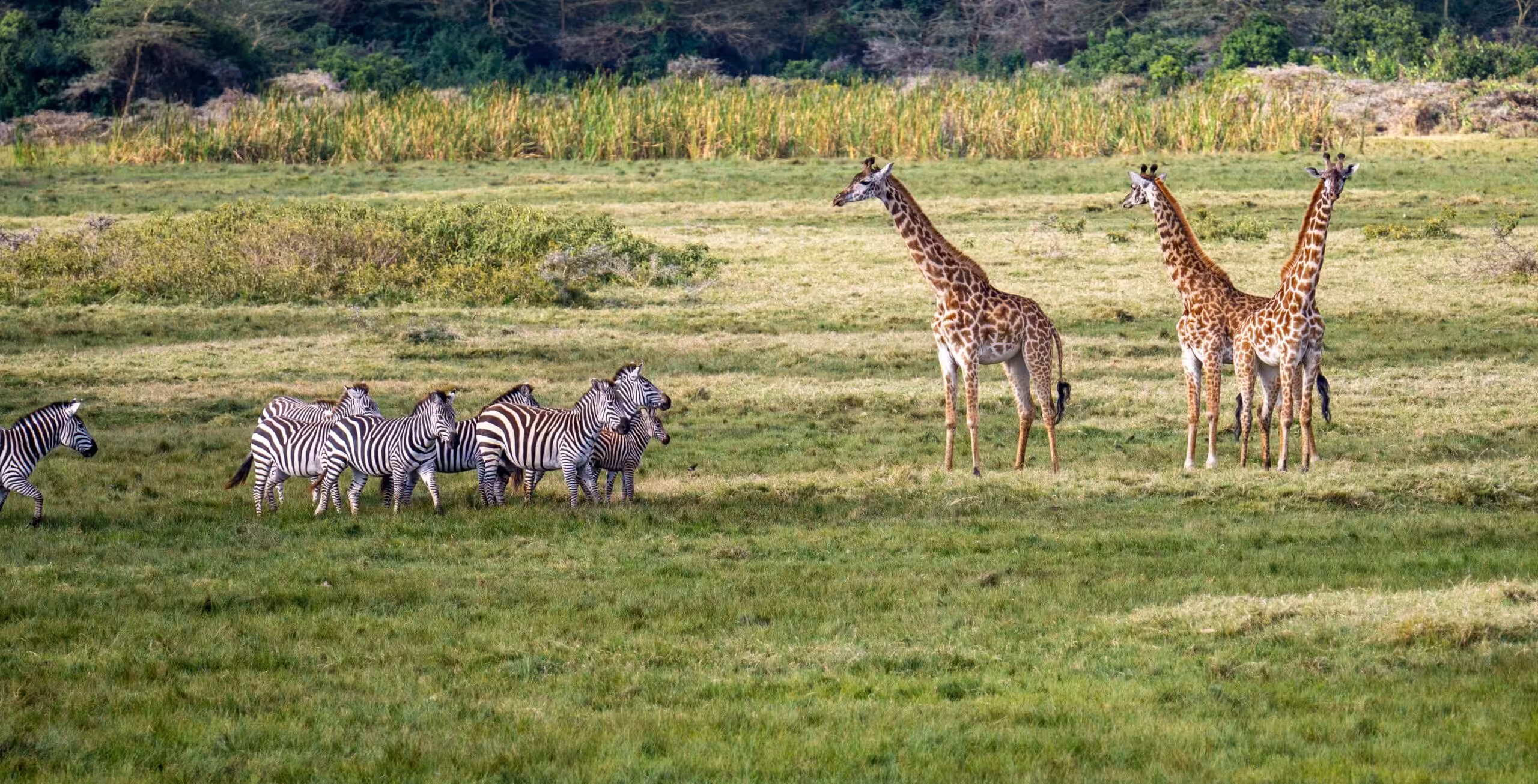 Arusha Nationalpark