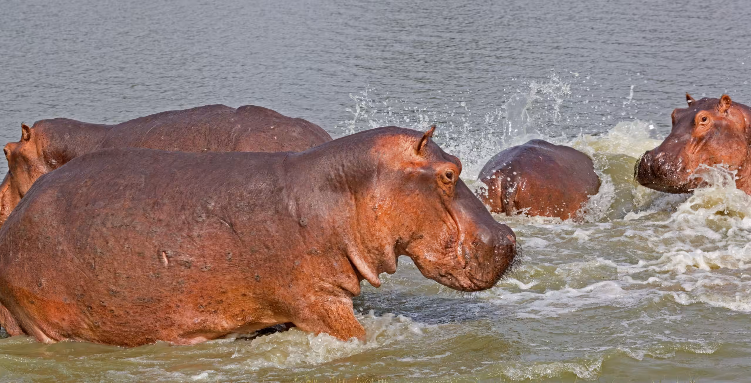 Nyerere Nationalpark