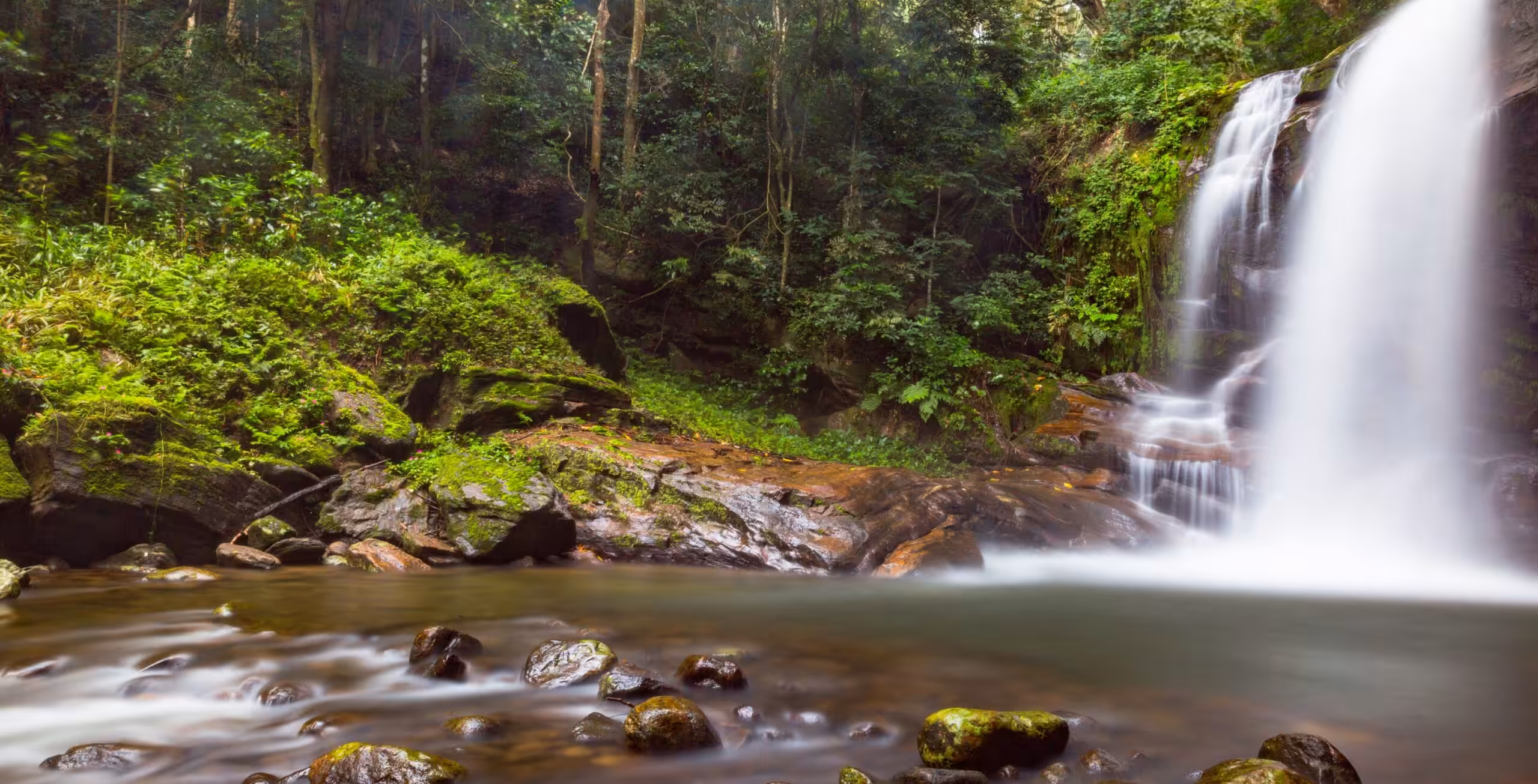 Udzungwa Mountains Nationalpark