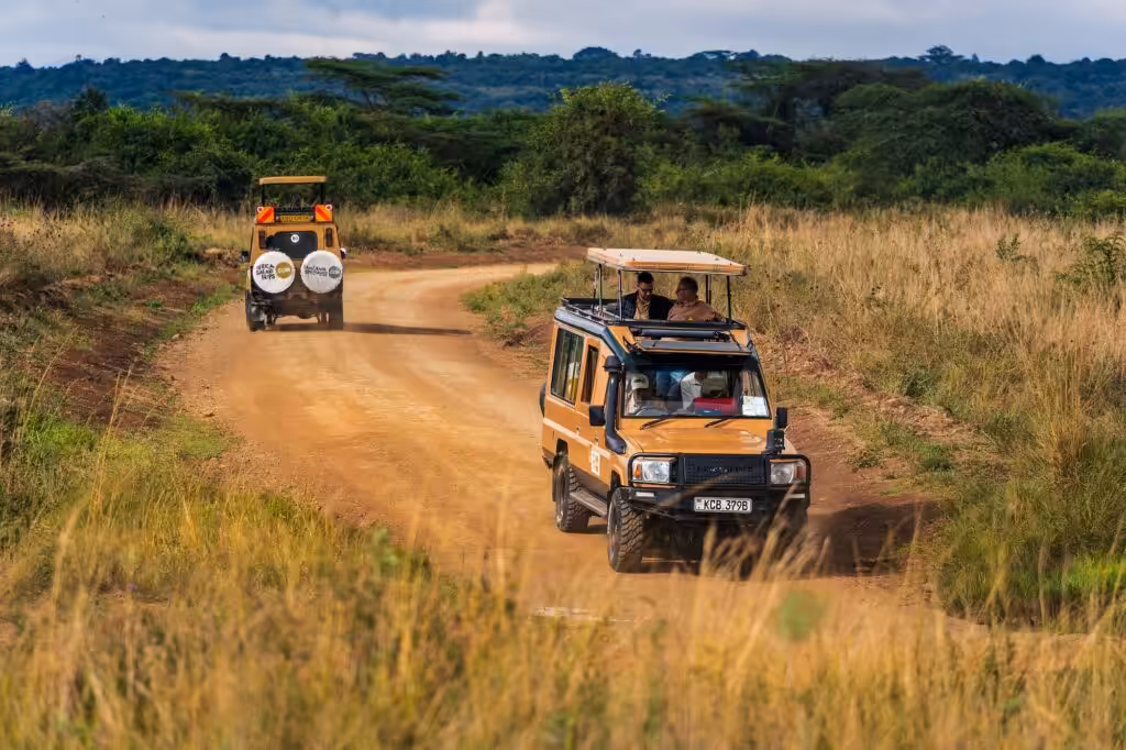 Zwei Safari-Jeeps mit Touristen, die aus dem offenen Dach blicken, fahren auf einer sandigen Straße im afrikanischen Bush in entgegengesetzte Richtungen