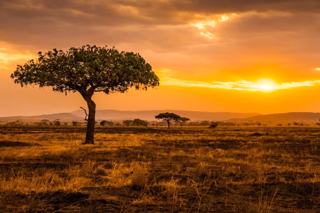Sonnenuntergang Serengeti
