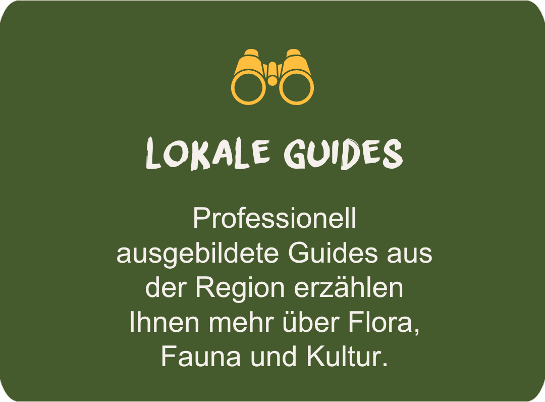 Local guides