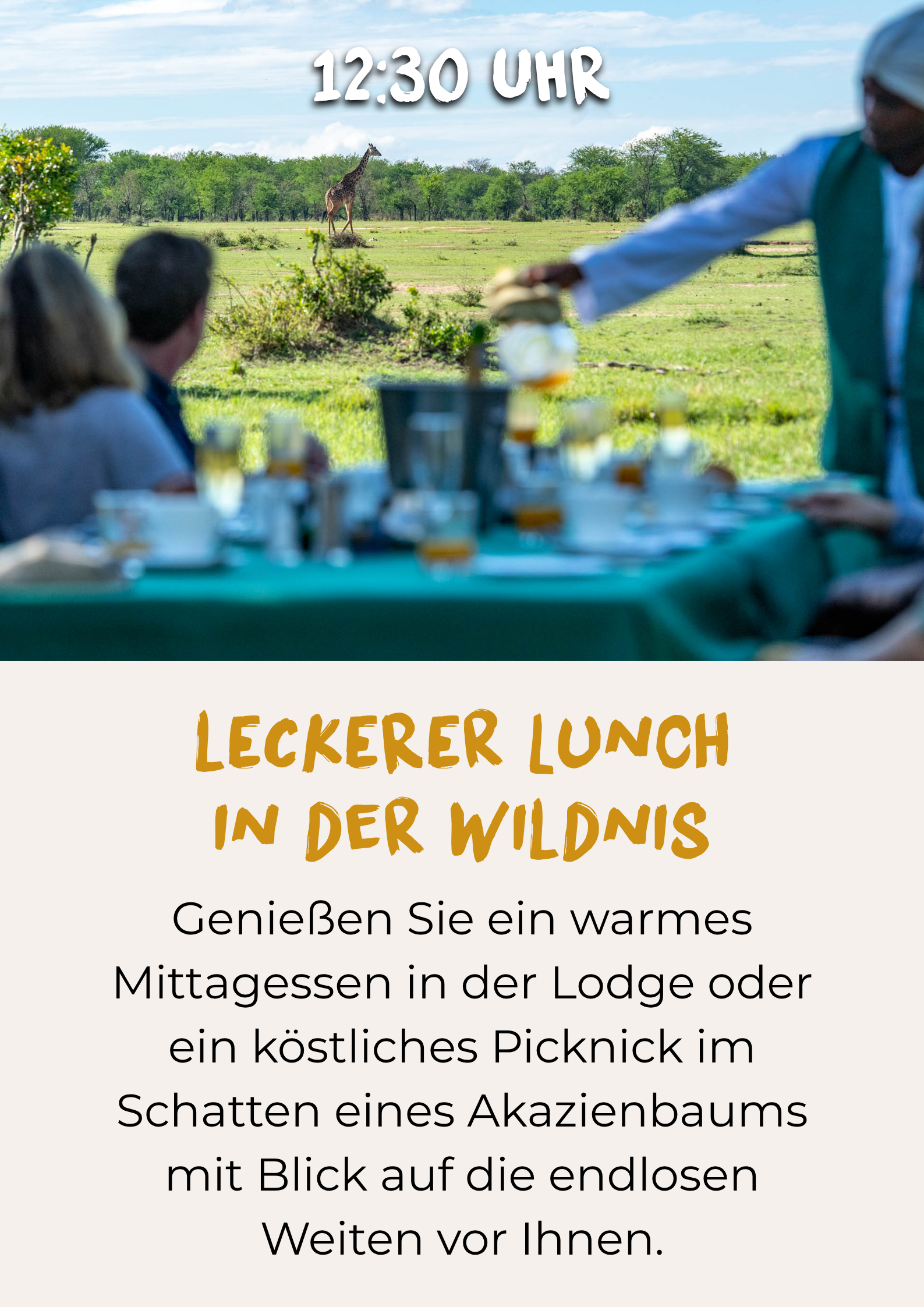 Lunch in der Wildnis während einer Tansania-Safari